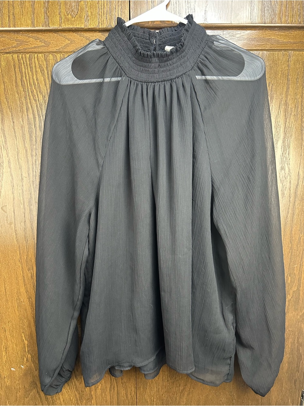 Black Sheer Long-Sleeve Blouse with Smocked Neck